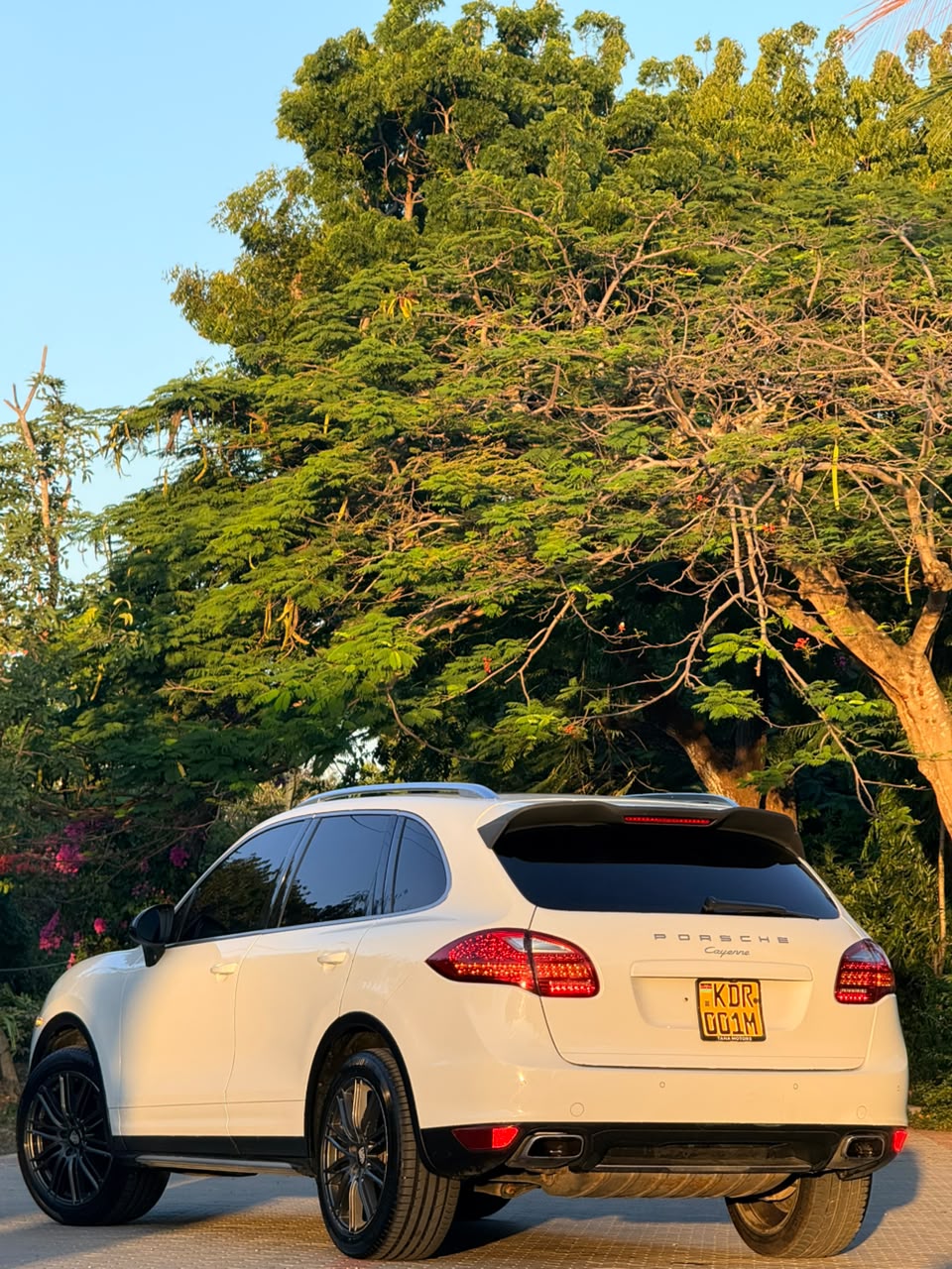 Porsche Cayenne — view 6
