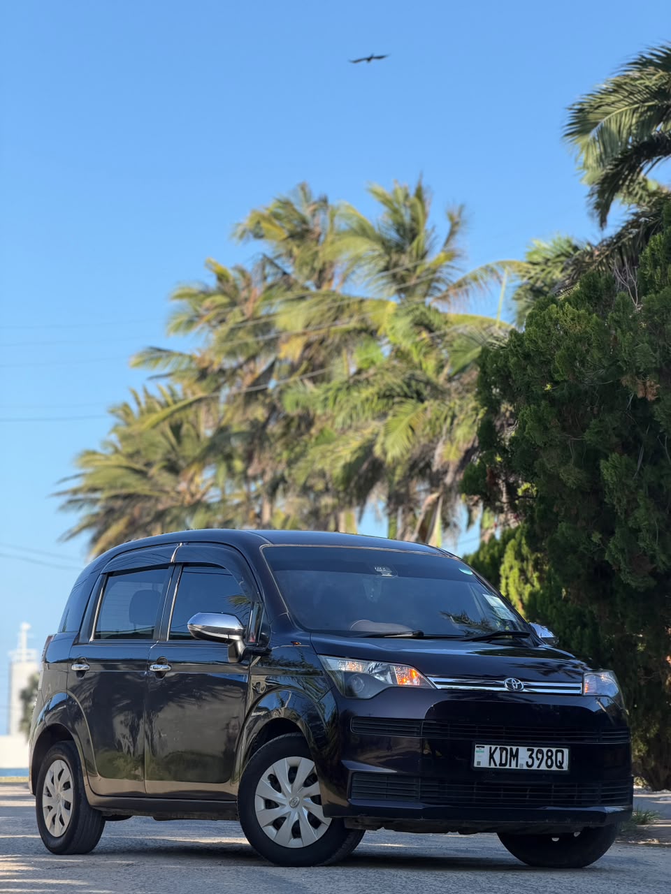 Toyota Spade — view 5